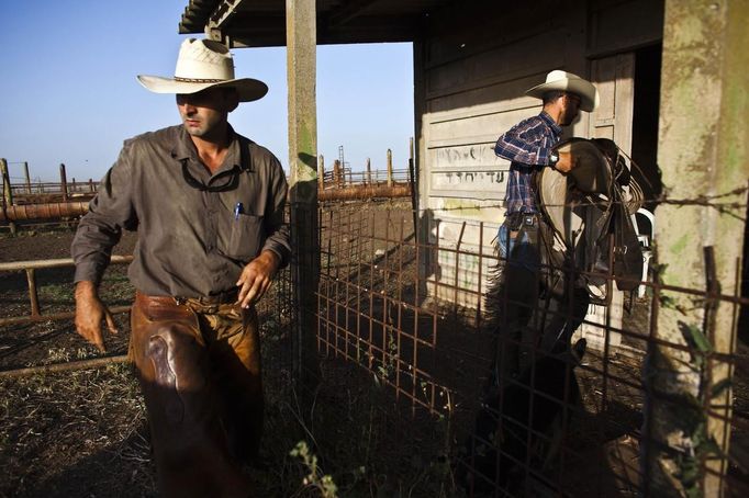 Israeli cowboys, Alon (R) and Amit (L), unload their horses after working with cattle in the early morning on a ranch just outside Moshav Yonatan, a collective farming community, about 2 km (1 mile) south of the ceasefire line between Israel and Syria in the Golan Heights May 21, 2013. Cowboys, who have been running the ranch on the Golan's volcanic rocky plateau for some 35 years, also host the Israeli military, who use half of the cattle farm, 20,000 dunams (5,000 acres), as a live-fire training zone. Israel captured the Golan Heights from Syria in the 1967 Middle East war and annexed the territory in 1981, a move not recognized internationally. Picture taken May 21, 2013. REUTERS/Nir Elias (ENVIRONMENT ANIMALS SOCIETY) ATTENTION EDITORS: PICTURE 21 OF 27 FOR PACKAGE 'COWBOYS OF THE GOLAN HEIGHTS' SEARCH 'COWBOY GOLAN' FOR ALL IMAGES Published: Kvě. 29, 2013, 10:08 dop.