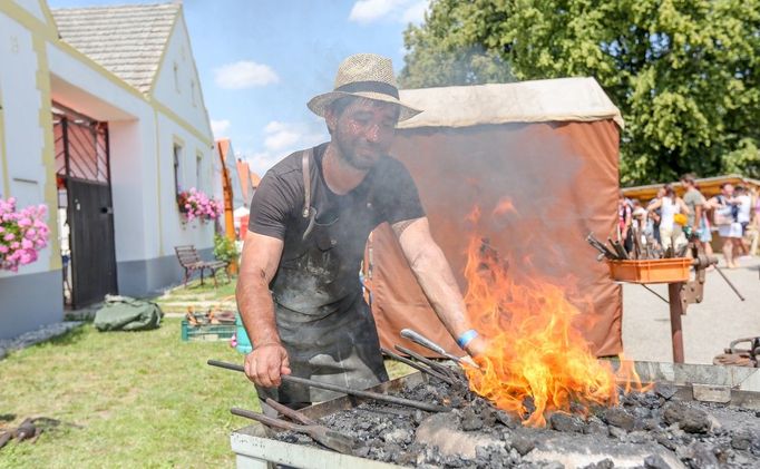 Kromě Selských slavností se v Holašovicích tradičně koná slavnost slunovratu a keltská ohňová noc a také představení Prodaná nevěsta.