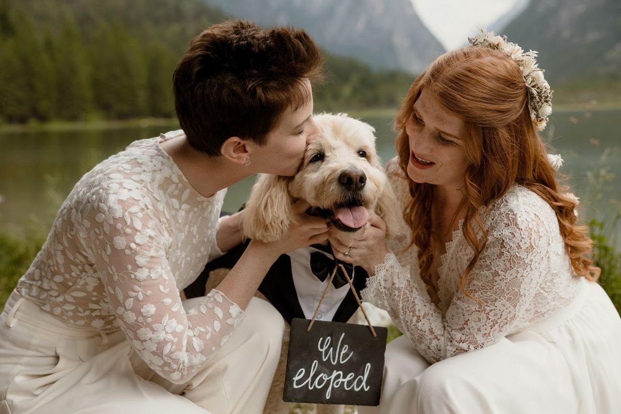 svatba, svatební snímky, novomanželé, snímky, soutěž