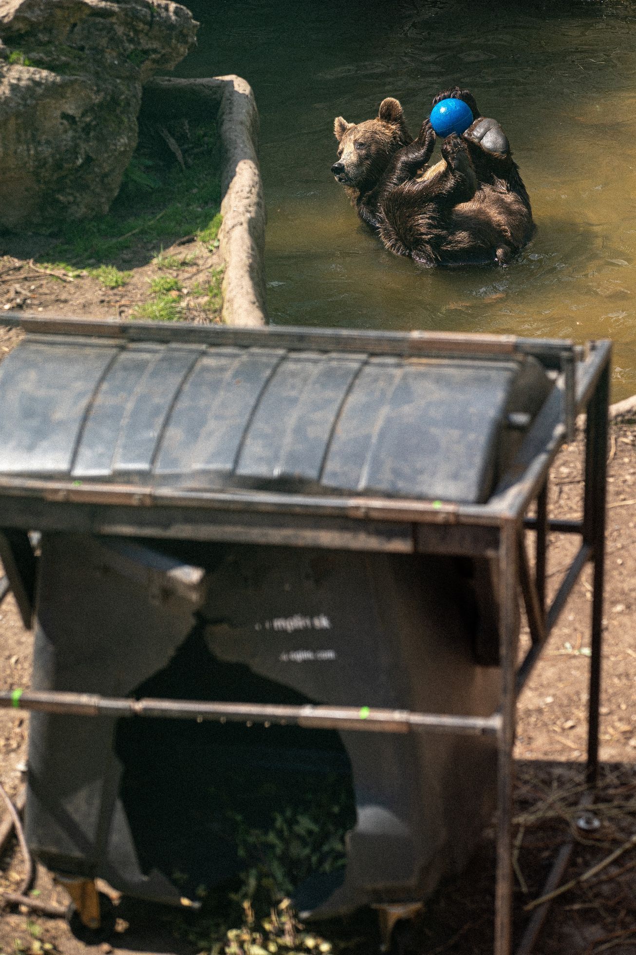 Slovensko a medvědi - zoo Bojnice a Mosty u Jablunkova