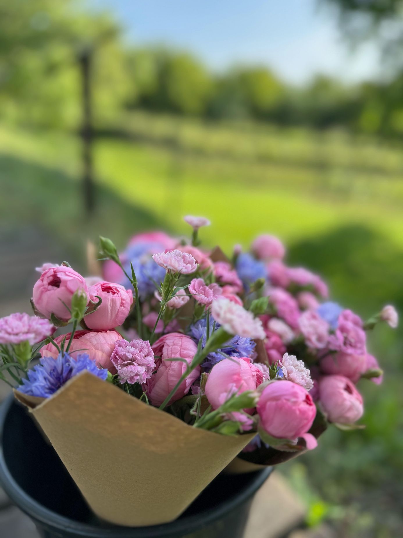 Kveetkomat Němčičky