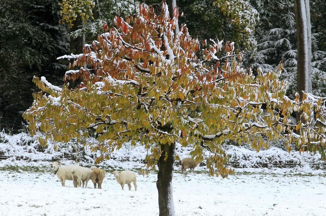 Foto: Sníh ve světě