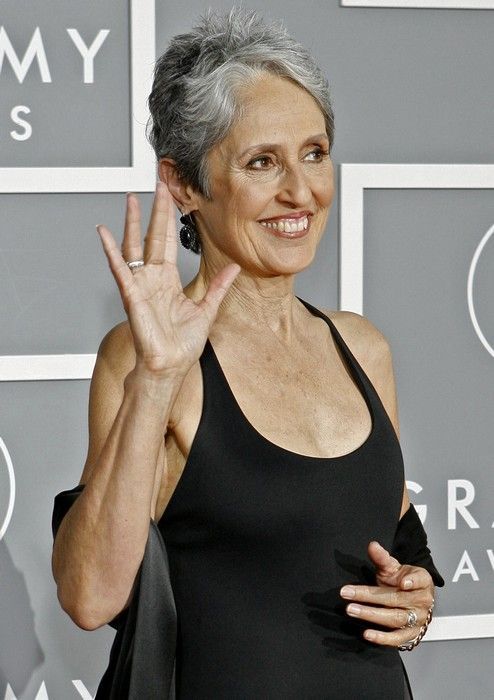 49. ročník Grammy: Joan Baez