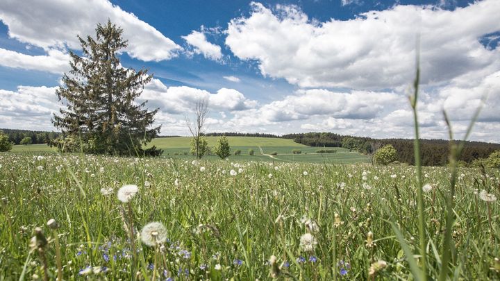 Krásy i chmury pestrých Žďárských vrchů. Tady najdete jiné turisty než v Krkonoších