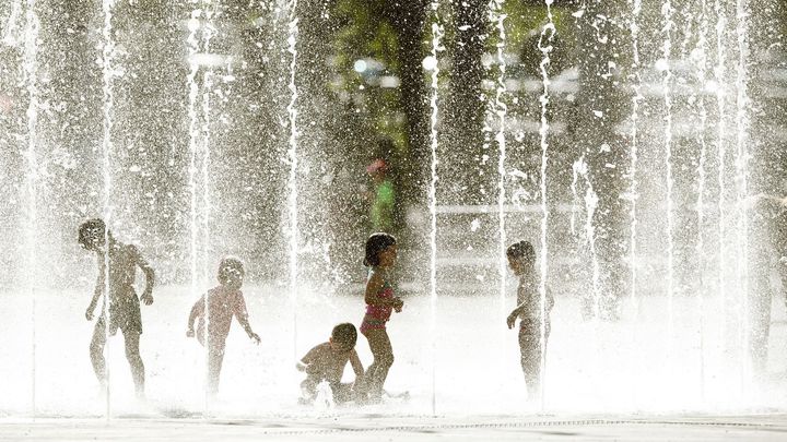 Příští týden se oteplí, o víkendu přijdou tropy. Teploty znovu klesnou až v srpnu
