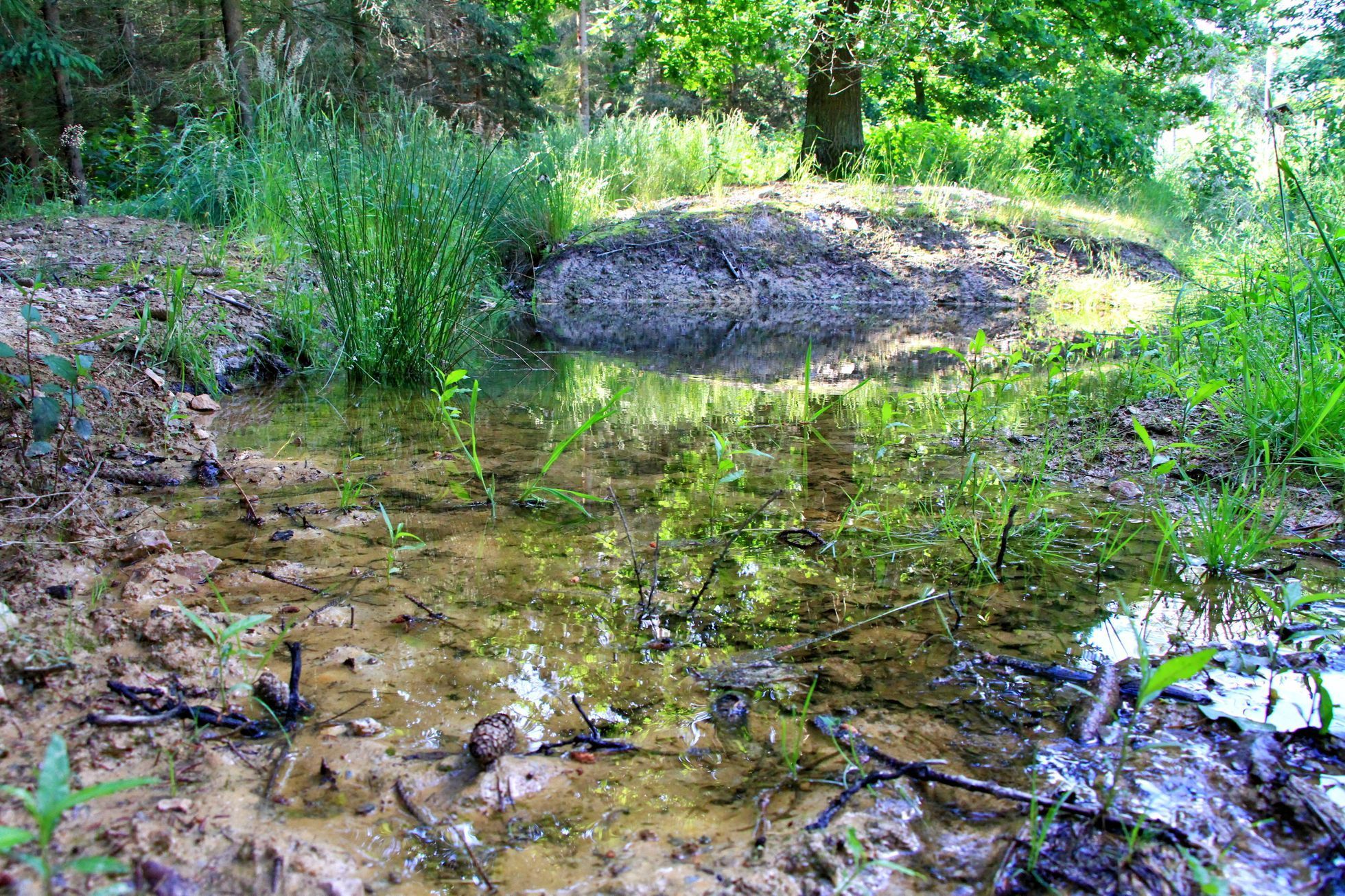 Město Chrudim - Zdravé město