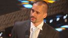 Zlatá hokejka 2013: Tomáš Plekanec