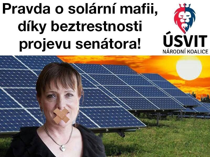 Vitásková jde do voleb