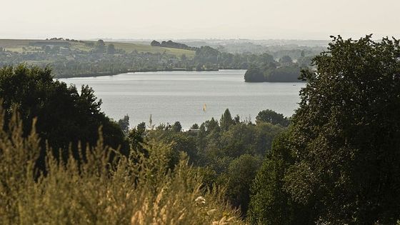 Mimořádný úkaz v přírodě: U Hlučína sledují lidé medůzy