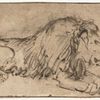 Rembrandt van Rijn: Ležící lev