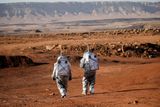 Rakouští a izraelští vědci během pokusů v obrovském kráteru v izraelské Negevské poušti simulují pobyt na Marsu.