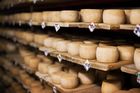 Švýcarsko poprvé doveze více sýra, než vyváží. Výrobce drtí otevřený trh s mlékem