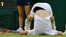 Britský tenista Andy Murray během pádu v utkání se Švýcarem Rogerem Federerem ve finále Wimbledonu 2012.