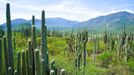 Tehuacán-Cuicatlán Valley, Mexiko - nově na seznamu UNESCO