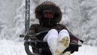 Zatímco tato fanynka skoků na lyžích si v pohodlí lebedila na lanovce, pod ní na mamutím můstku probíhal tvrdý boj  s přírodou. Bohužel neúspěšný.