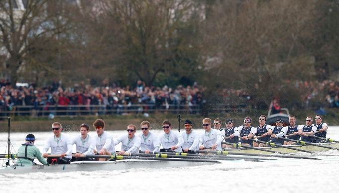 Veslování, regata Oxford - Cambridge