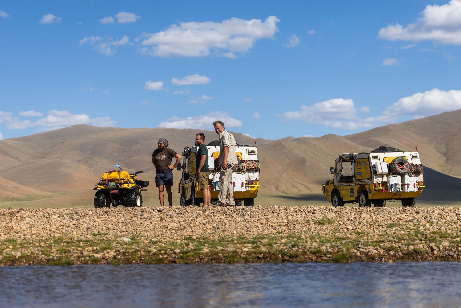 Žlutá žába pluje