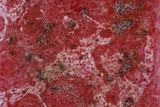 Damien Hirst: Skin cancer, light micrograph/Rakovina kůže, prosvícený mikrosnímek, 2006 (hedvábné plátno, užitkový lesklý nátěr na lnu se sklem, diamantový prach, chomáče vlny a vlasy; 228.6 x 152.4 cm)