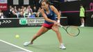 Barbora Strýcová ve finále Fed Cupu 2018 Česko - USA