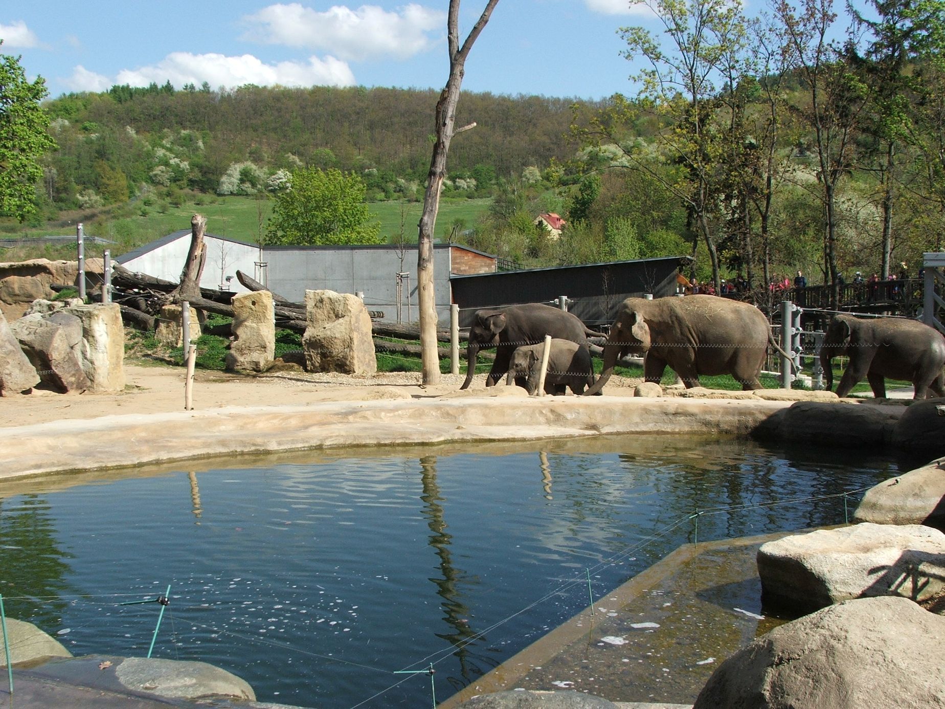 Údolí slonů - ZOO Praha