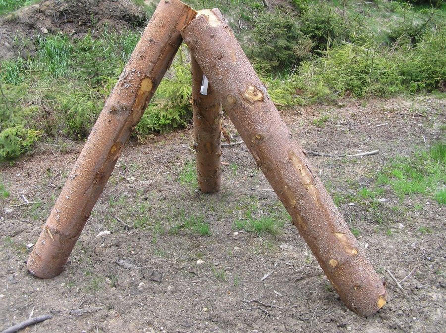Chemií proti kůrovci