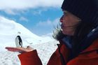 Vyfotit se s tučňákem, zalyžovat si na ledovci. Turisté zaplavují Antarktidu