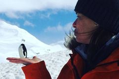 Vyfotit se s tučňákem, zalyžovat si na ledovci. Turisté zaplavují Antarktidu