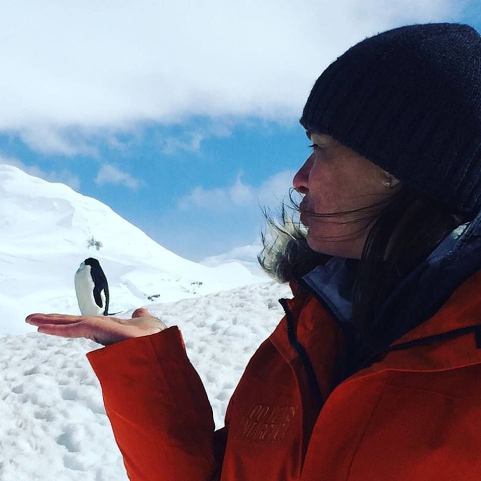 antarktida turismus tučňák