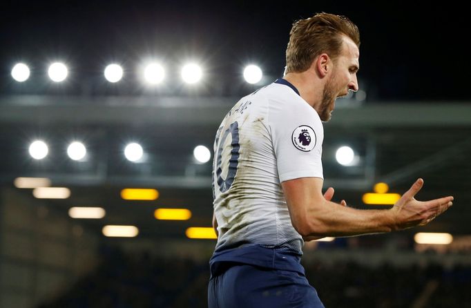 Harry Kane z Tottenhamu slaví branku v duelu s Evertonem.