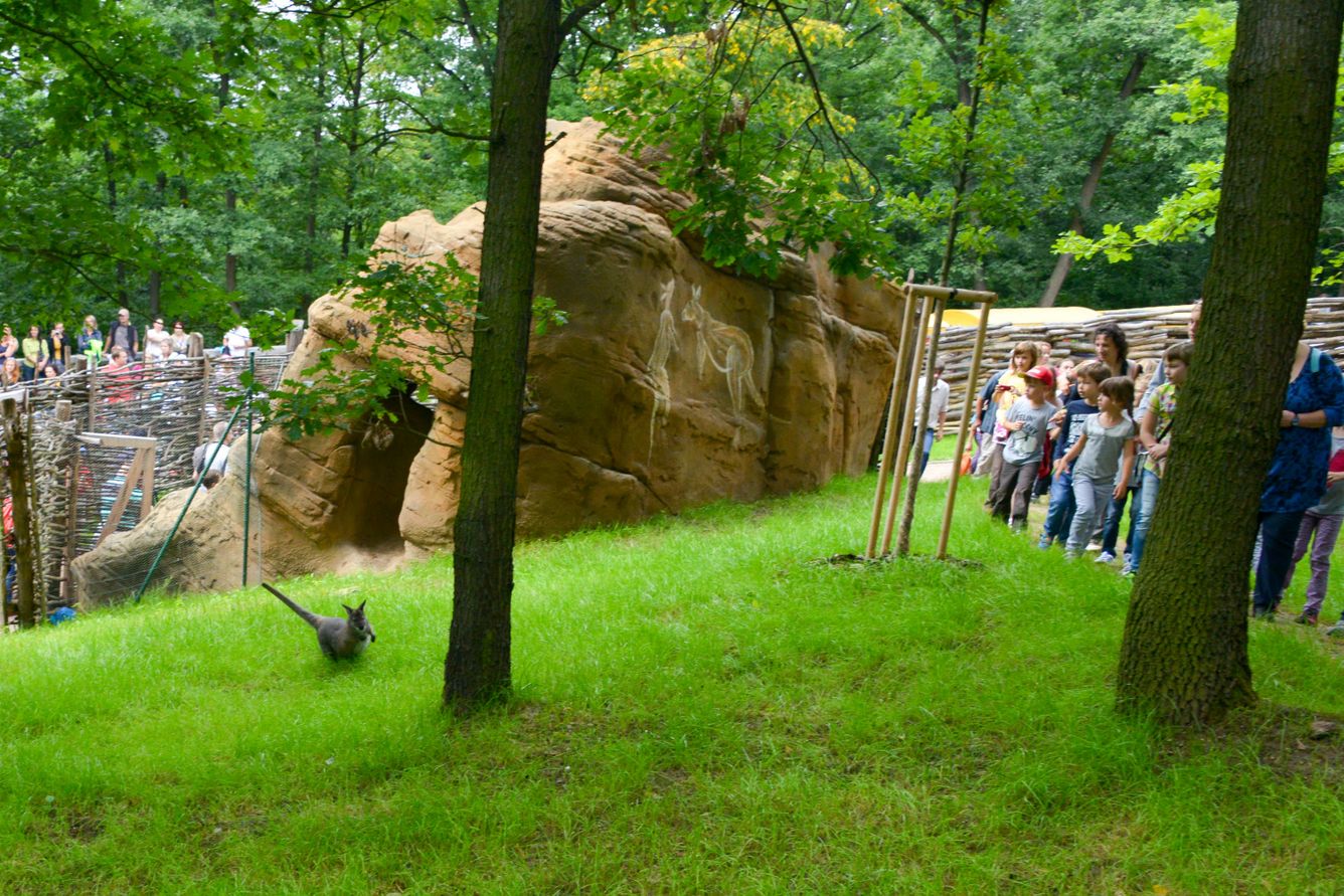 Zoo Brno, Brněnská zoo, zoo, zoologická zahrada, historie, výročí, Domácí