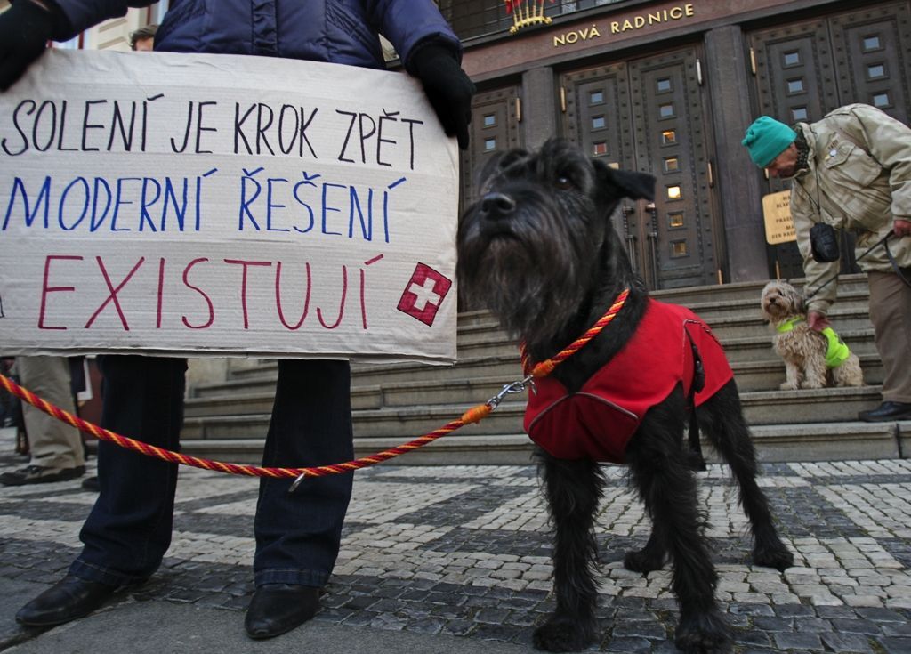 demonstrace proti solení chodníků