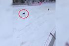 Medvěd honil lyžaře přímo na sjezdovce, ukazuje video. Unikl jen díky batohu