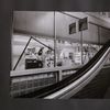 Tesco Máj/My prodavačka historie nakupování