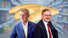 Andrej Babiš, Petr Fiala - Ikona, poutací foto
