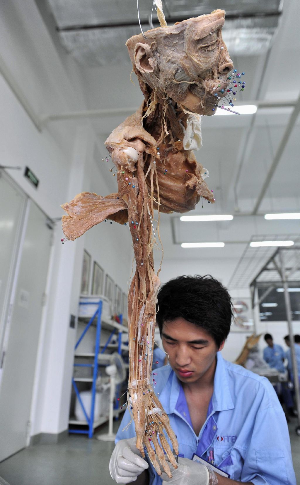 Plastinace lidských a zvířecích těl v Číně