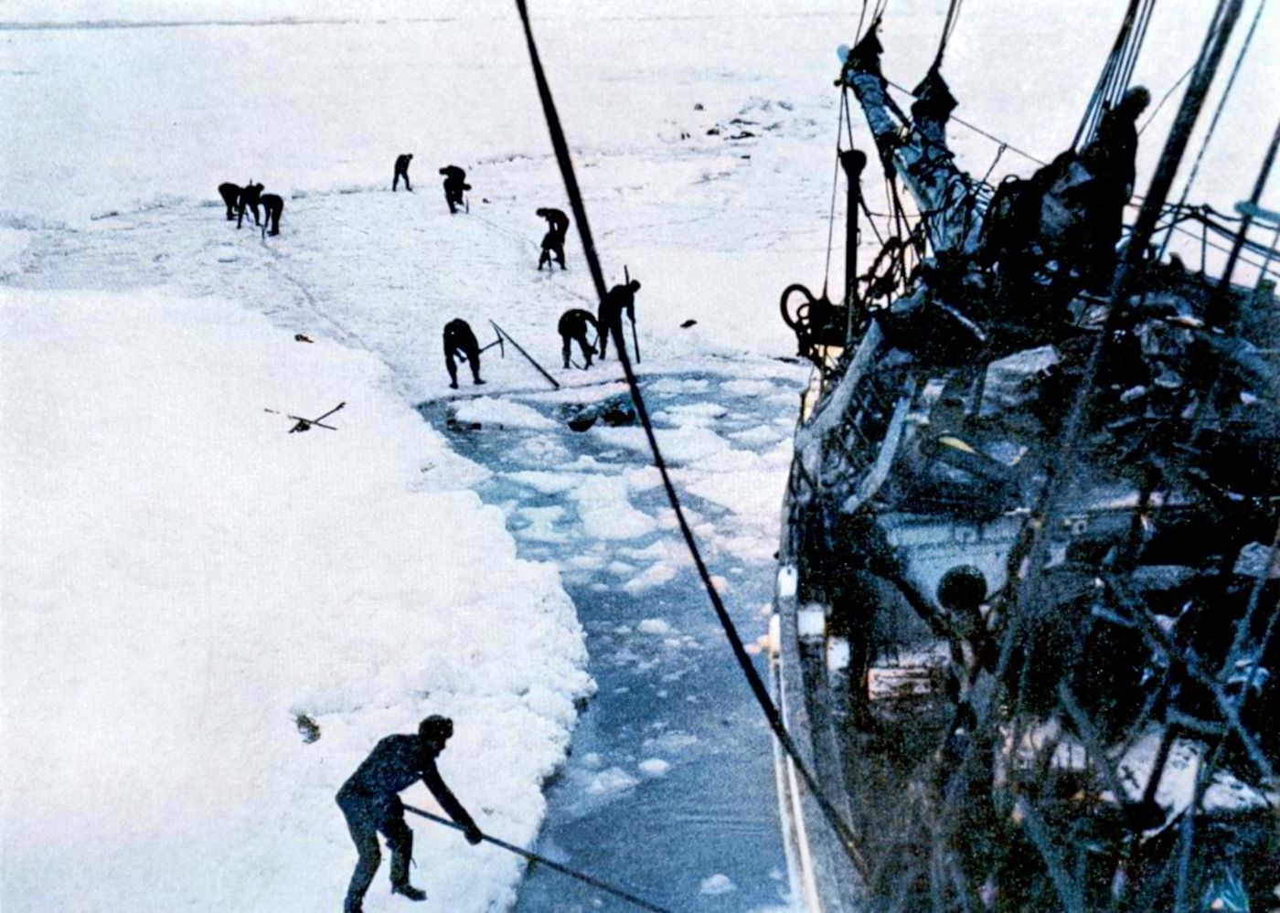 Ernest Shackleton, badatel, historie, polární kruh, Jižní pól, Zahraničí