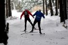 Námraza láme stromy v Krušnohoří, varuje horská služba