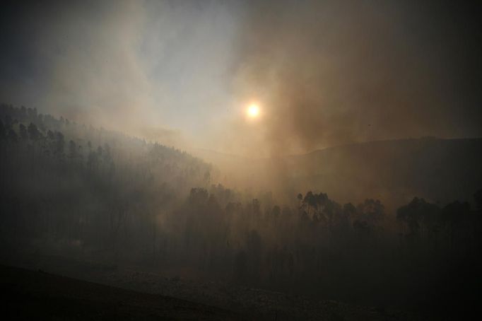 Smoke fills the air after a fire in a forest in Alvaiazere, near Ourem September 4, 2012. According to the civil defence, over 1,700 firefighters have been mobilized to tackle more than 10 forest fires currently active in Portugal. REUTERS/Rafael Marchante (PORTUGAL - Tags: DISASTER ENVIRONMENT) Published: Zář. 4, 2012, 1:11 odp.