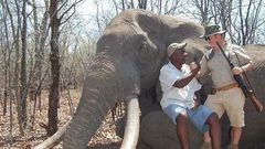 lovec zabil největšího slona v Africe
