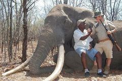 Německý lovec zabil největšího slona v Africe. Vše bylo legální, brání ho průvodce