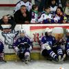 Sledge hokej: Draci Kolín vs. Lapp Zlín