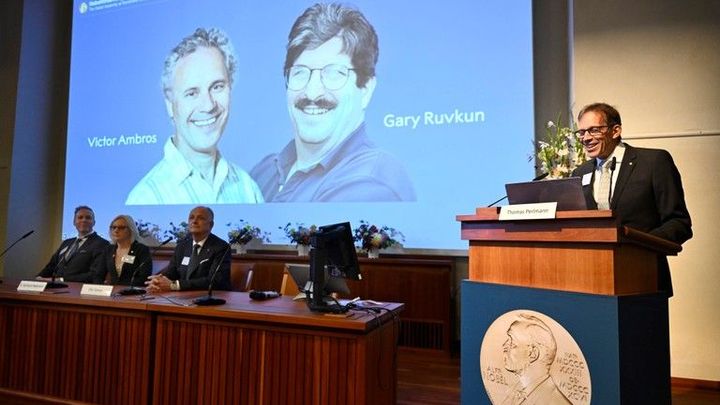 Nobelovu cena za medicínu získala dvojice Američanů. Dostali ji za objev microRNA
