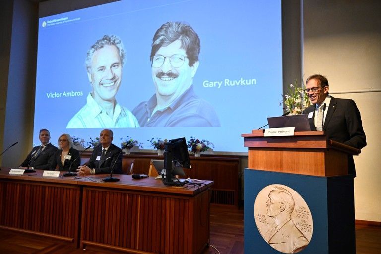 Victor Ambros, Gary Ruvkun nobelova cena