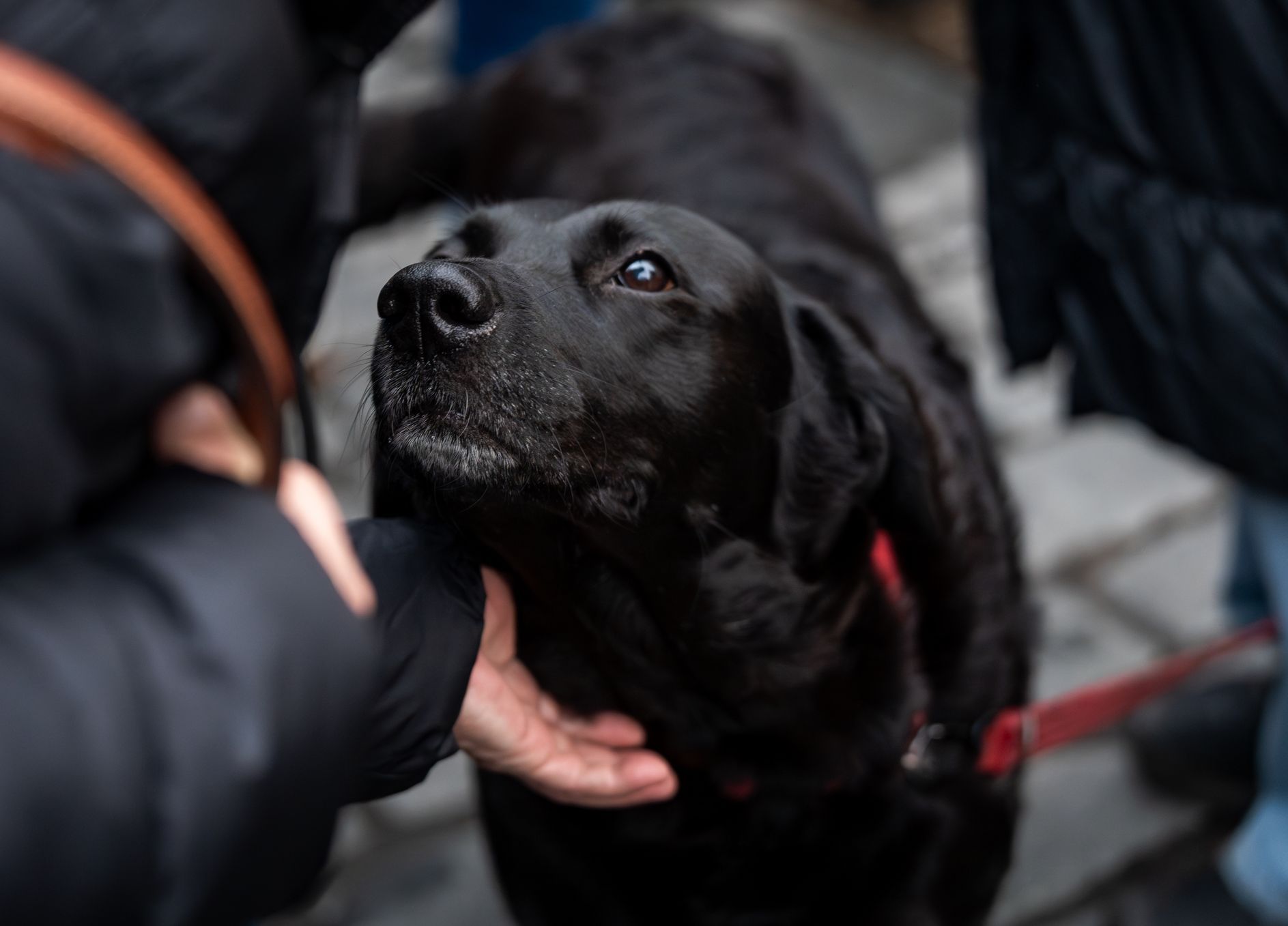 Národní třída, Staroměstské náměstí, 17. listopad, výročí, státní svátek, svíčky