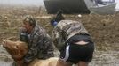 Sherry Henson (L) and Charmin Cosse try to save a cow along Highway 23 in Plaquemines, Louisiana August 30, 2012. REUTERS/Sean Gardner (UNITED STATES - Tags: ENVIRONMENT DISASTER ANIMALS) Published: Srp. 30, 2012, 4:55 odp.