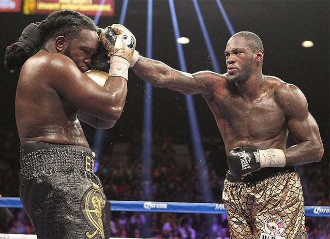 Deontay Wilder vs. Bermane Stiverne