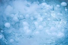 Ind přežil hodiny v chladicím boxu pro mrtvé. Po vysvobození zemřel na podchlazení