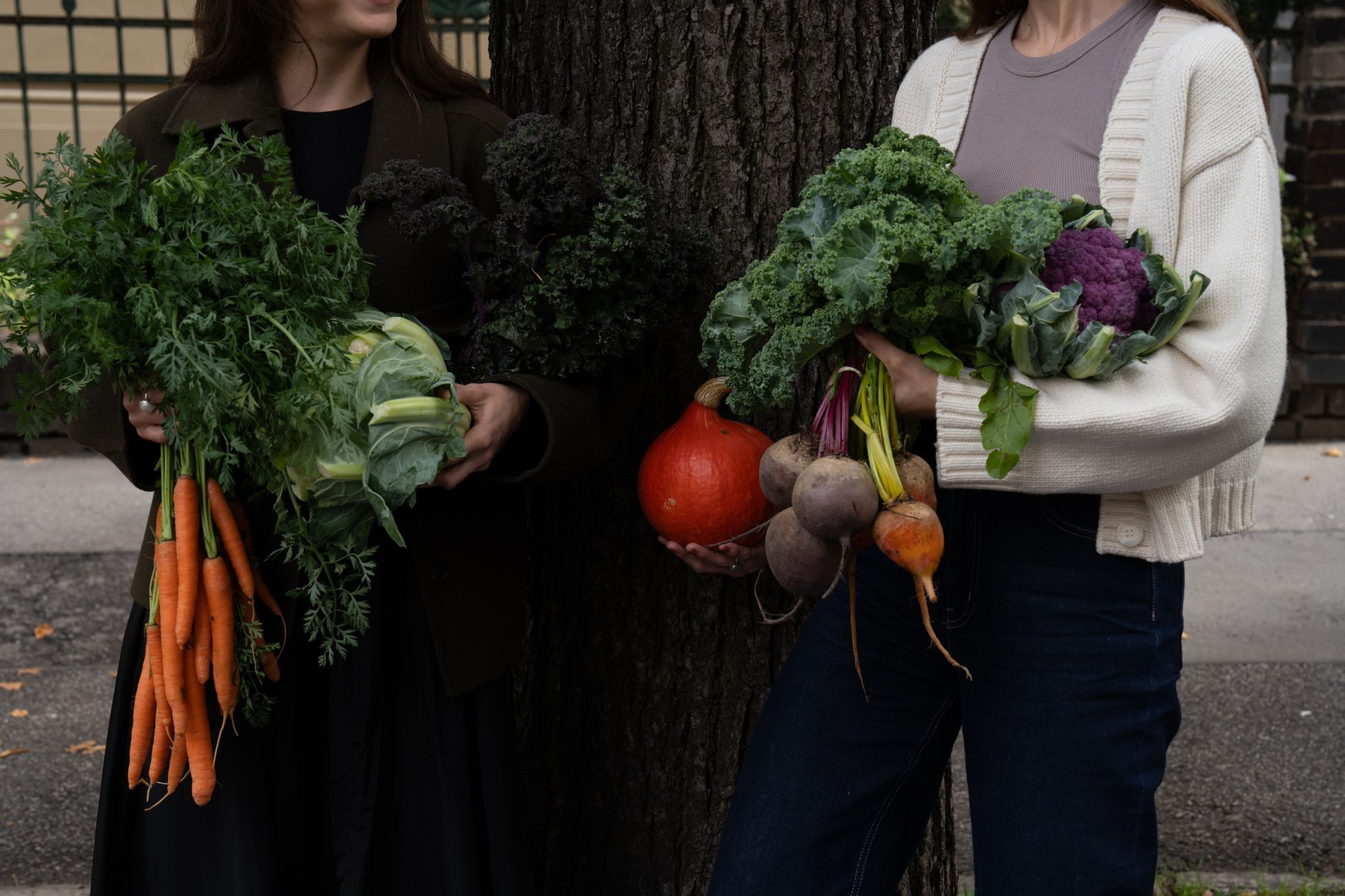 hodanová, rotbauerová, holistický přístup