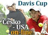 Davis Cup on-line