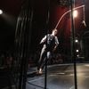 Letní Letná 2020 - Cirque Galapiat (Lucho Smit) - L’âne & la carotte - show, akrobat, nový cirkus